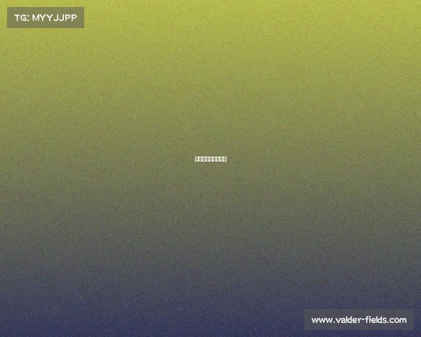 山南电竞:竞放光芒